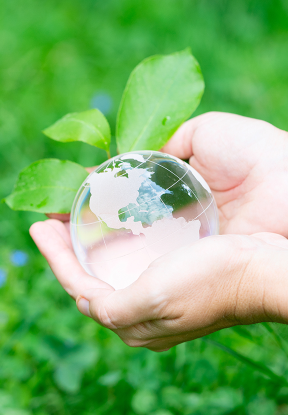 Environment 이미지